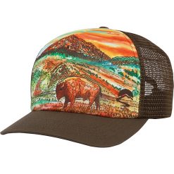 Sunday Afternoons Artist Series Trucker Hat -Kari Traa Sales 2022 10412886x1205113 zm